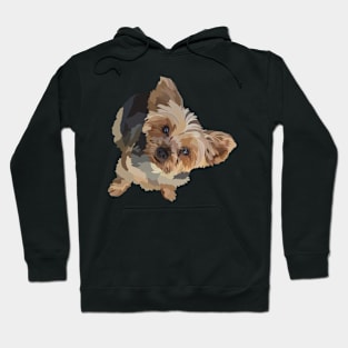 Yorkie Doodle Hoodie